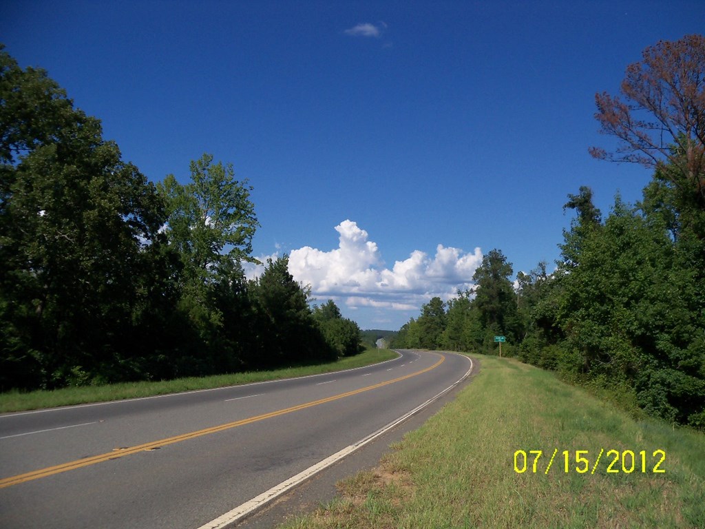 -burginville R Burginville Road Buena Vista, GA 31803 - Photo 5 of 6 a view of a golf course with a lake view