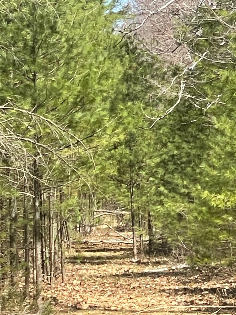 Summit Road Baileys Harbor, WI 54202 - Photo 2 of 2 Gallery Image 2