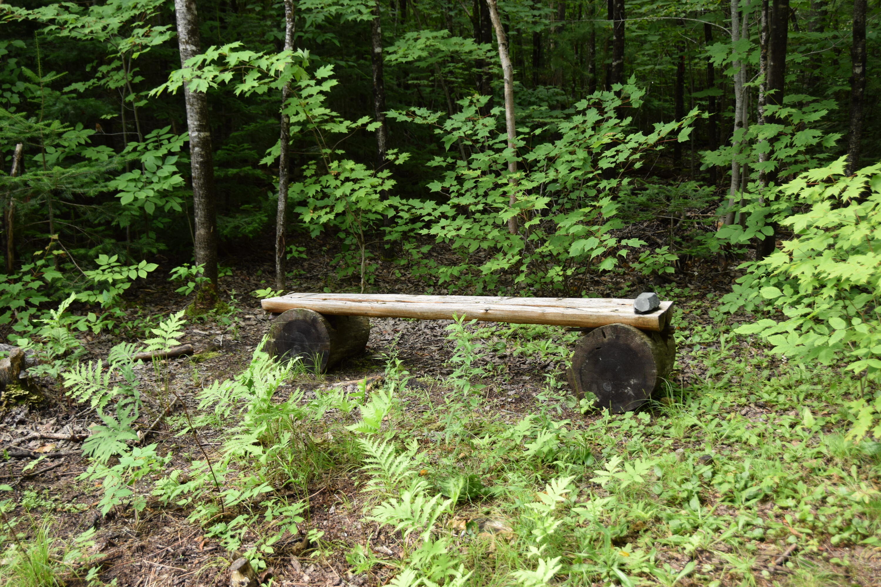 429 Hole In The Wall Road Solon, ME 04979 - Photo 39 of 45 DSC_0020