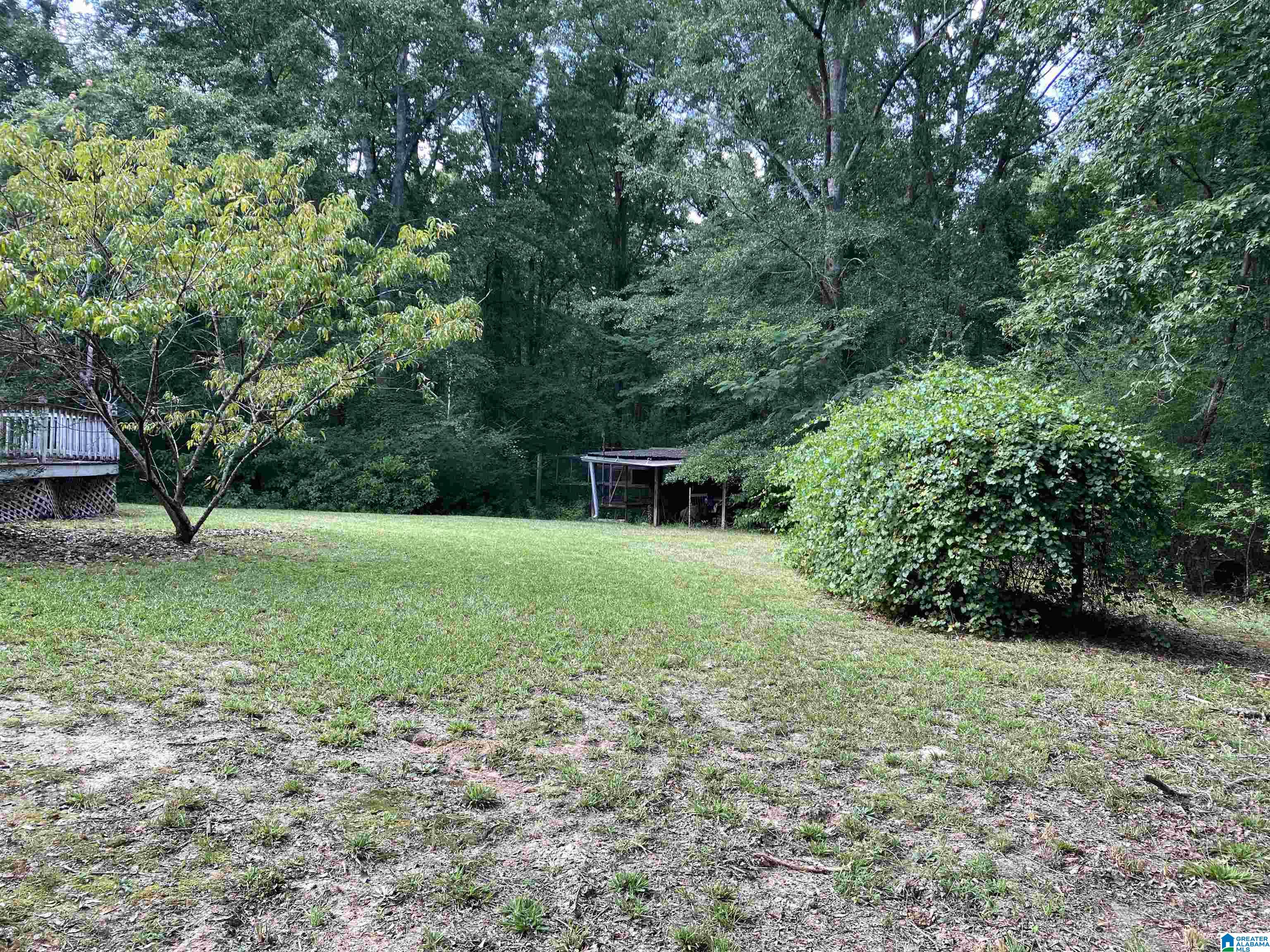 3822 Burrows Crossing Jasper, AL 35504 - Photo 3 of 32