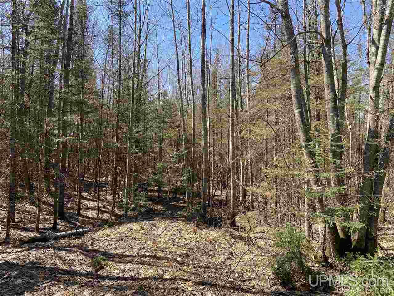Tbd Tbd Off Powerline Gwinn, MI 49841 - Photo 13 of 28