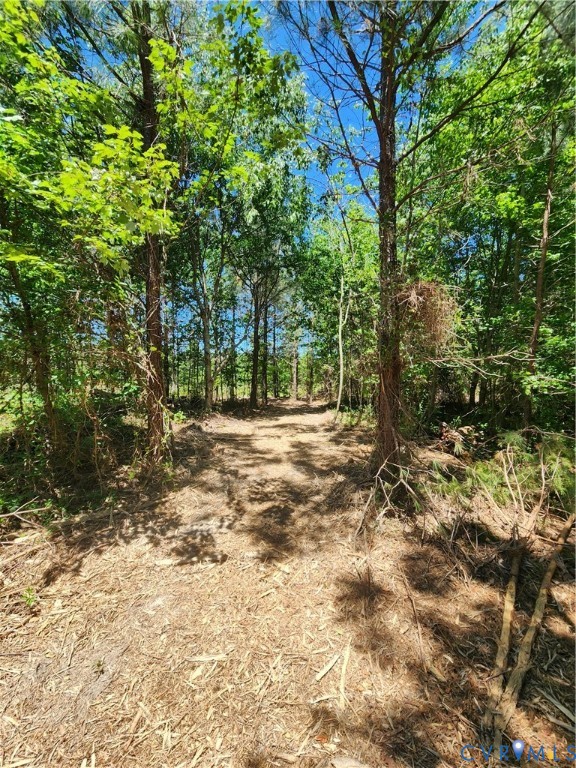 Welcome to Lot 3 Deep Creek East.