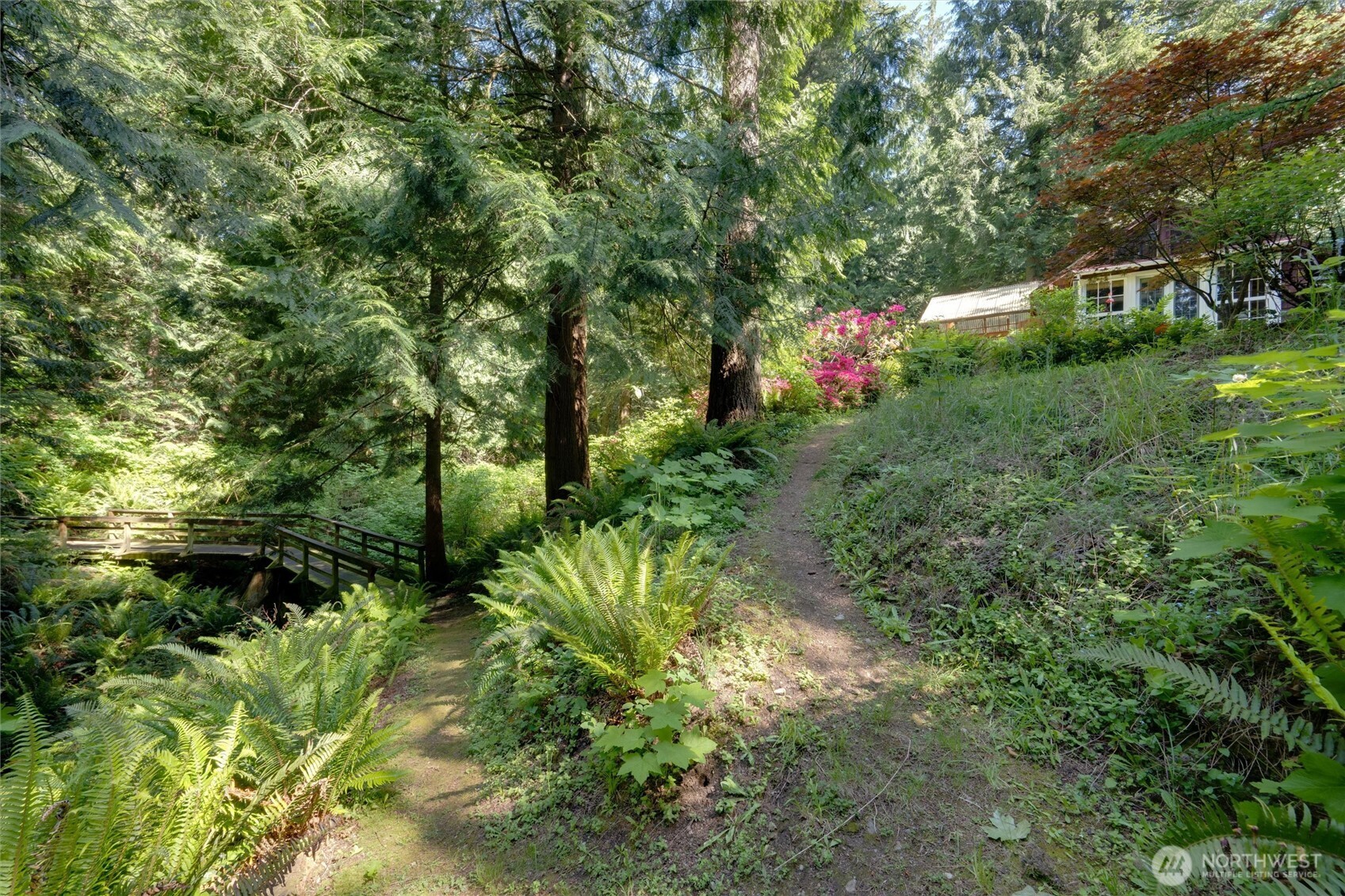 4315 Nordum Road Everson, WA 98247 - Photo 9 of 40 a backyard of a house with lots of green space and trees all around
