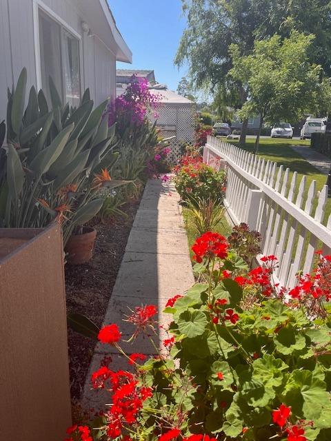 2706 West Ashlan Avenue, Unit 329 Fresno, CA 93705 - Photo 24 of 43 a view of a flower in a garden