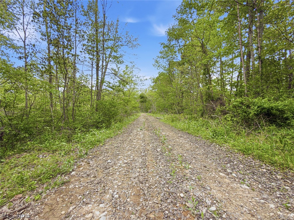 69-acres Newlon Road Malta, OH 43758 - Photo 20 of 20