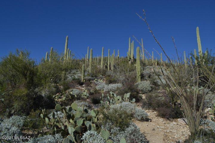 12265 East Coronado Road, Unit 46 Tucson, AZ 85749 - Photo 39 of 41