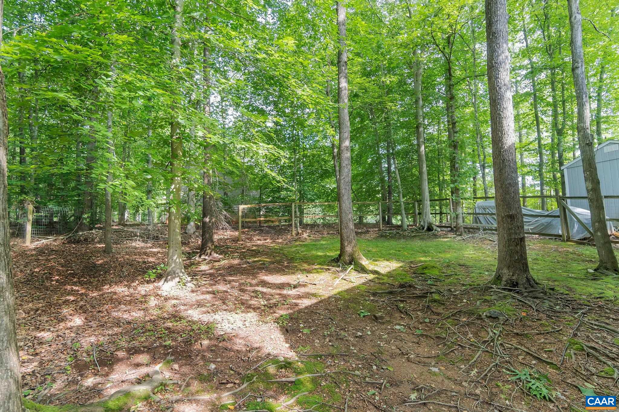 36 East Point Road Palmyra, VA 22963 - Photo 33 of 33 a view of a tree in the middle of a yard