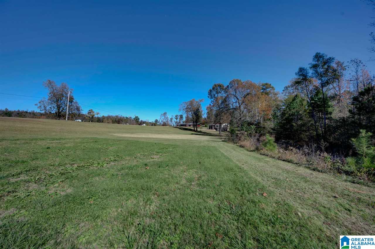 313 Old Black Crk Road Birmingham, AL 35217 - Photo 48 of 49