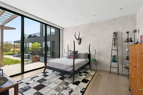 a view of a garden with plants