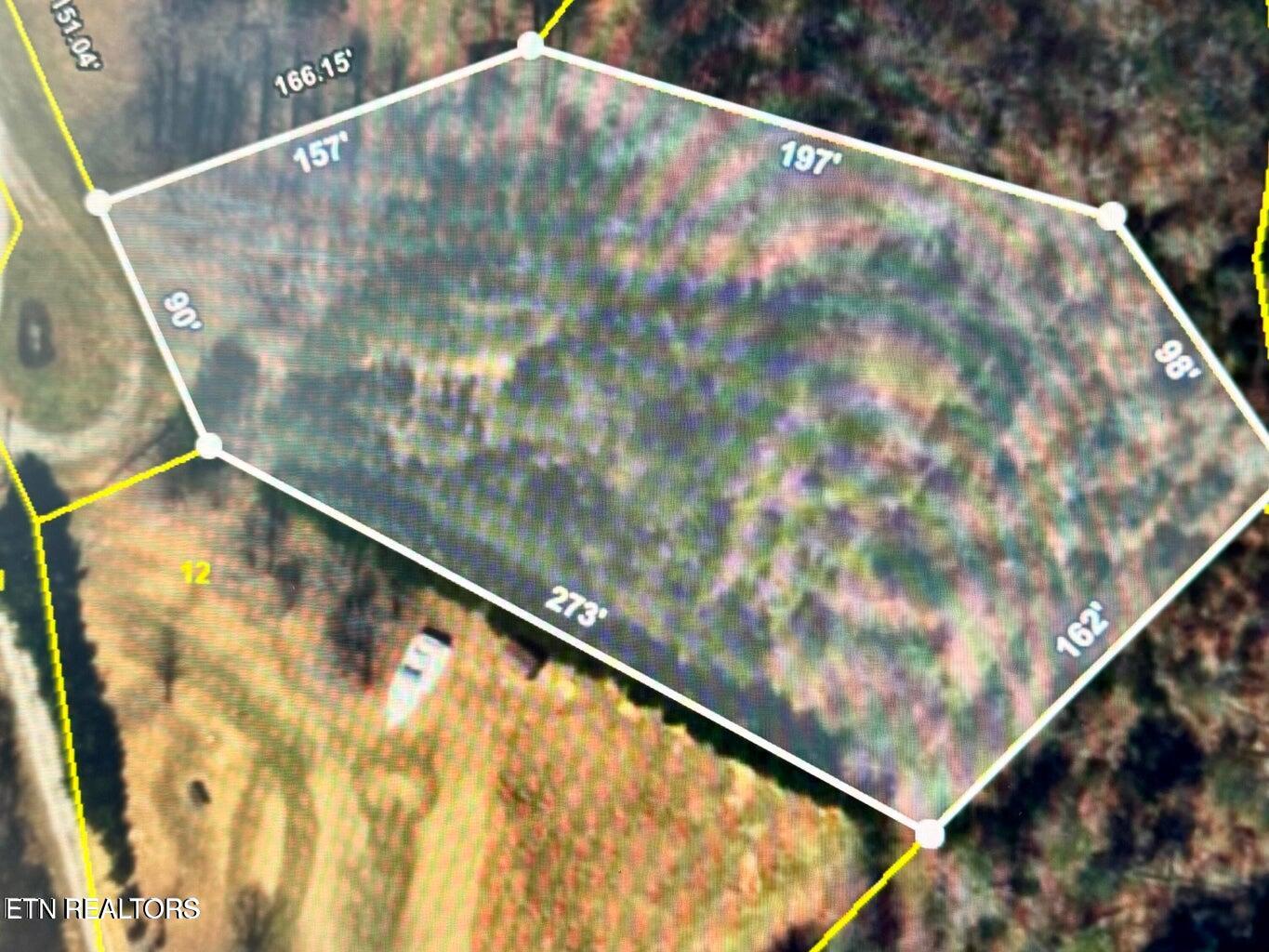 Black Fox Harbor Road Washburn, TN 37888 - Photo 3 of 5 20231106171835942729000000-o