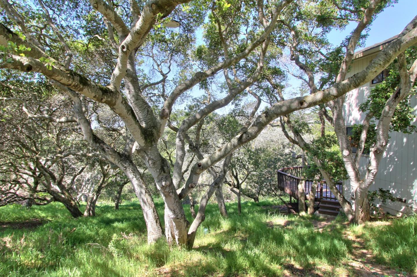 18280 Berta Canyon Road Salinas, CA 93907 - Photo 27 of 27 Gallery Image 27