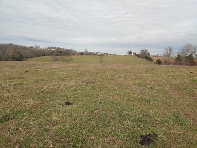 1700 Cummins Ferry Road Salvisa, KY 40372 - Photo 12 of 16 6531335217466361825