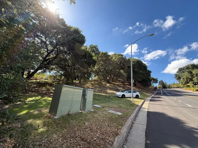 a view of water yard with trees