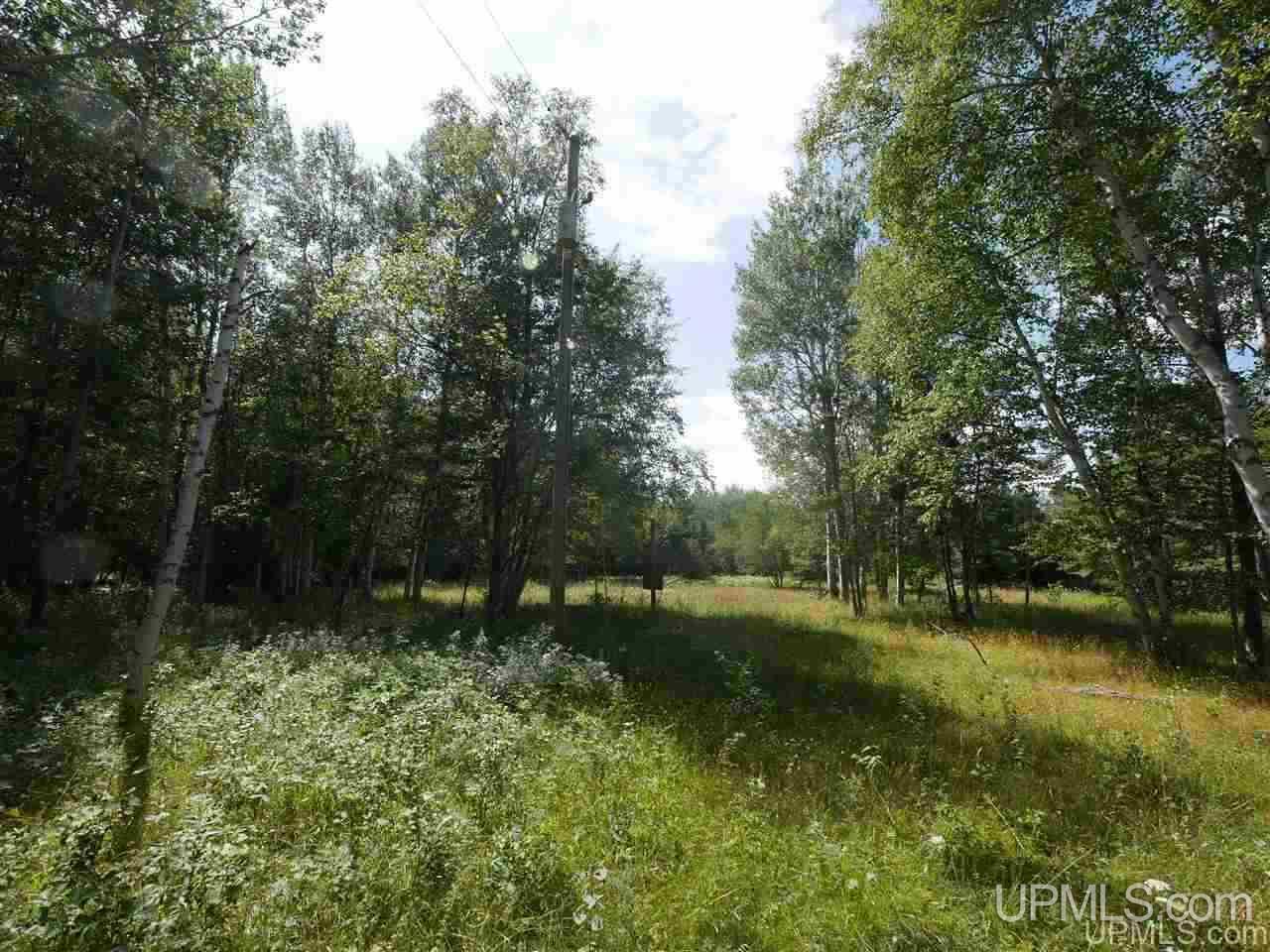 56917 Koskela Road Calumet, MI 49913 - Photo 25 of 36