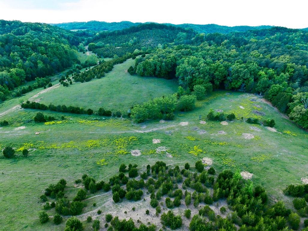 38-acres Lonesome Pine Road Bybee, TN 37713 - Photo 1 of 22 massey 3 (2)