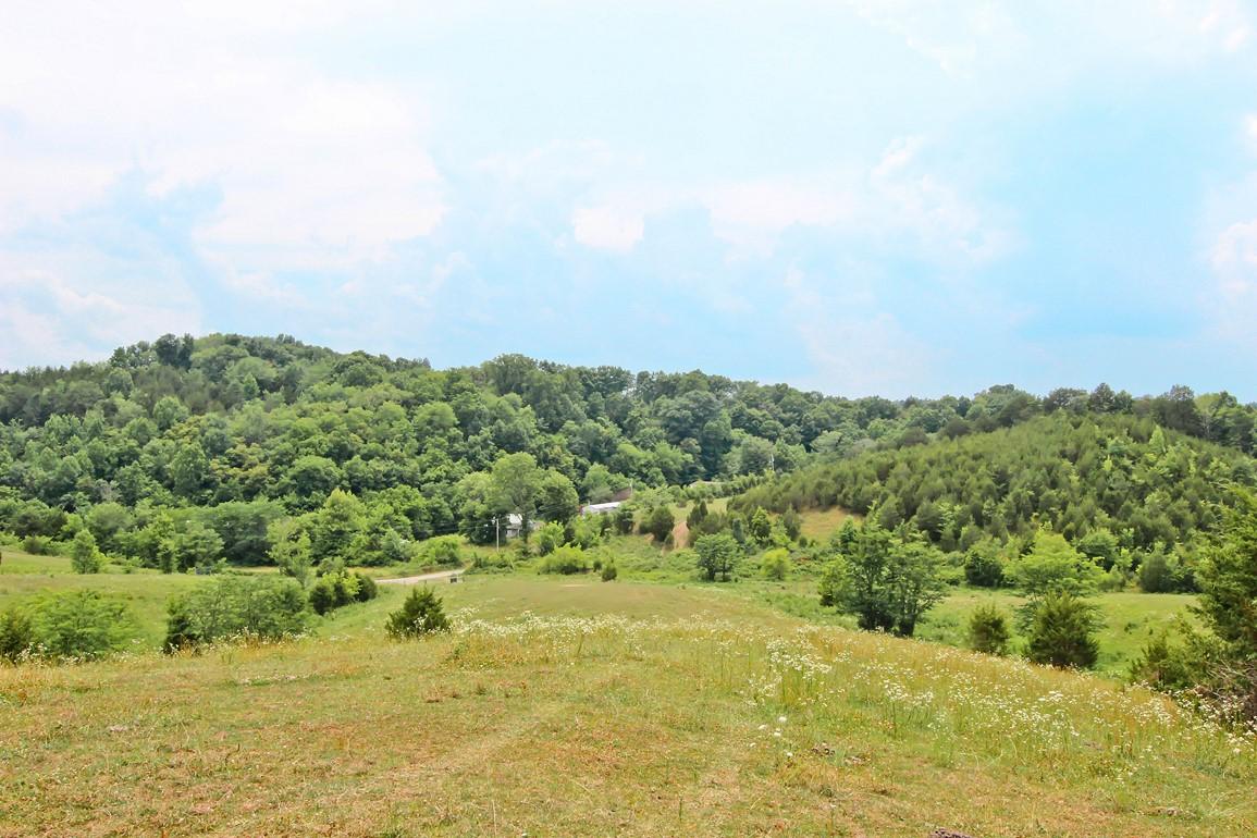 38-acres Lonesome Pine Road Bybee, TN 37713 - Photo 2 of 22 IMG_4759