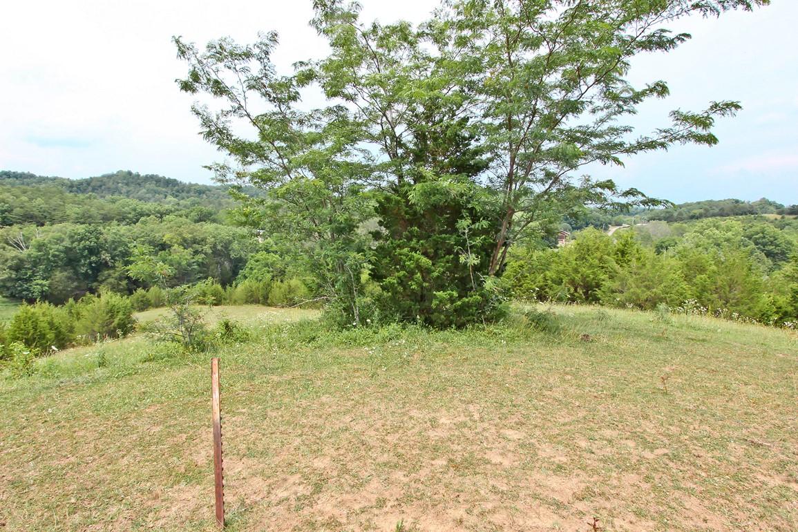 38-acres Lonesome Pine Road Bybee, TN 37713 - Photo 11 of 22 IMG_4760