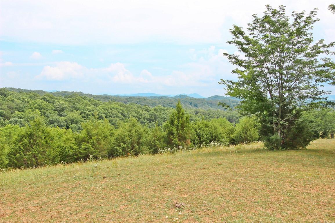38-acres Lonesome Pine Road Bybee, TN 37713 - Photo 12 of 22 IMG_4761