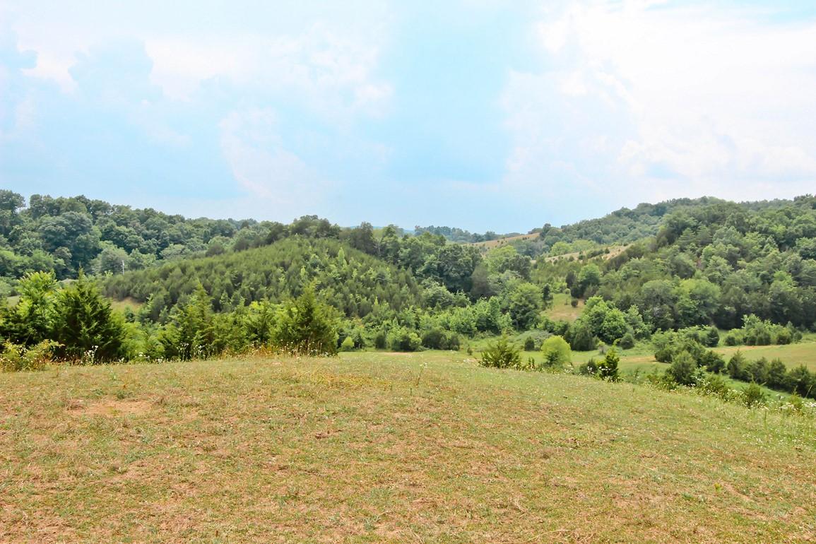 38-acres Lonesome Pine Road Bybee, TN 37713 - Photo 13 of 22 IMG_4762