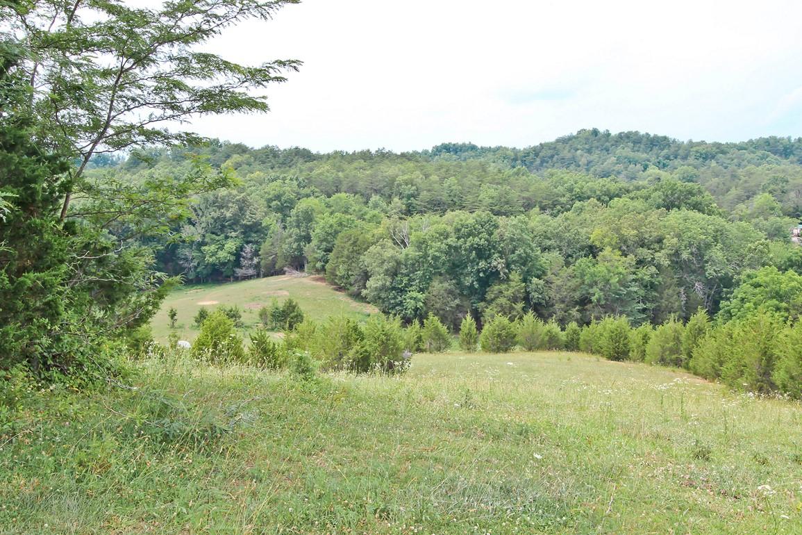 38-acres Lonesome Pine Road Bybee, TN 37713 - Photo 14 of 22 IMG_4763