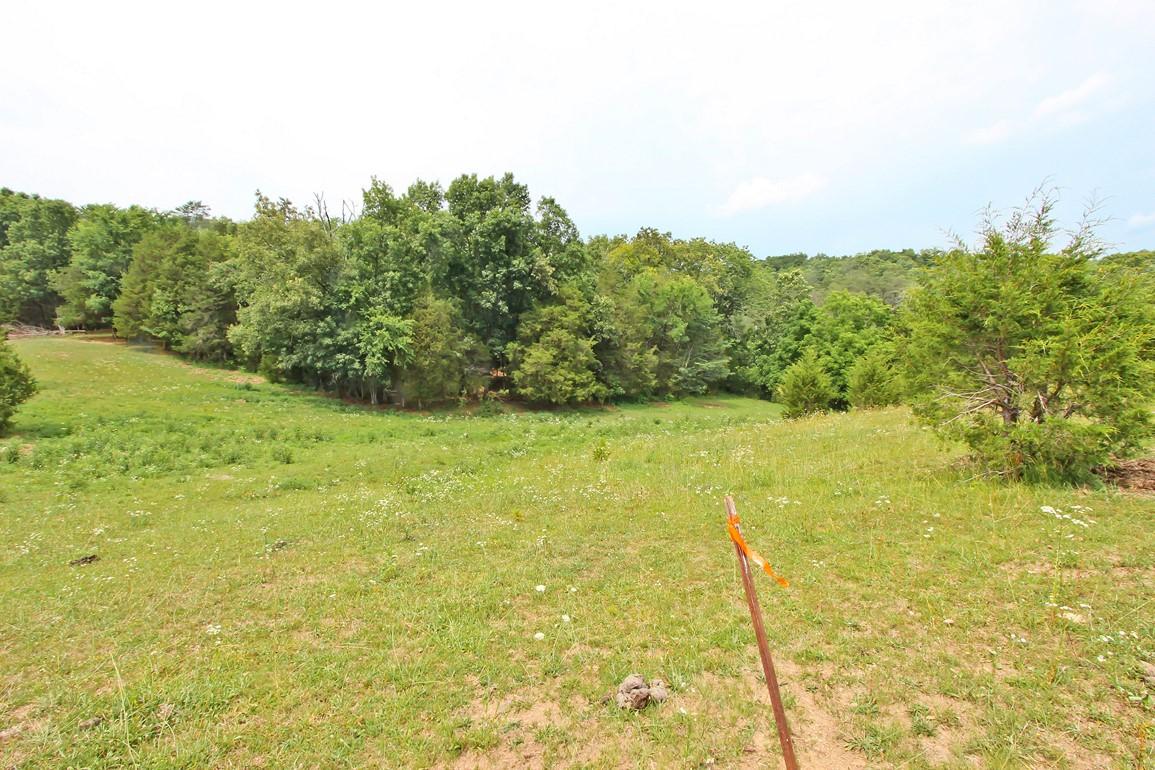 38-acres Lonesome Pine Road Bybee, TN 37713 - Photo 15 of 22 IMG_4764
