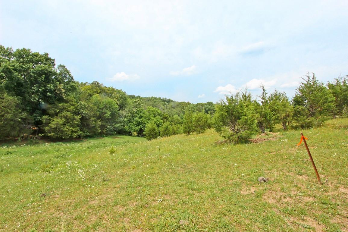 38-acres Lonesome Pine Road Bybee, TN 37713 - Photo 16 of 22 IMG_4765