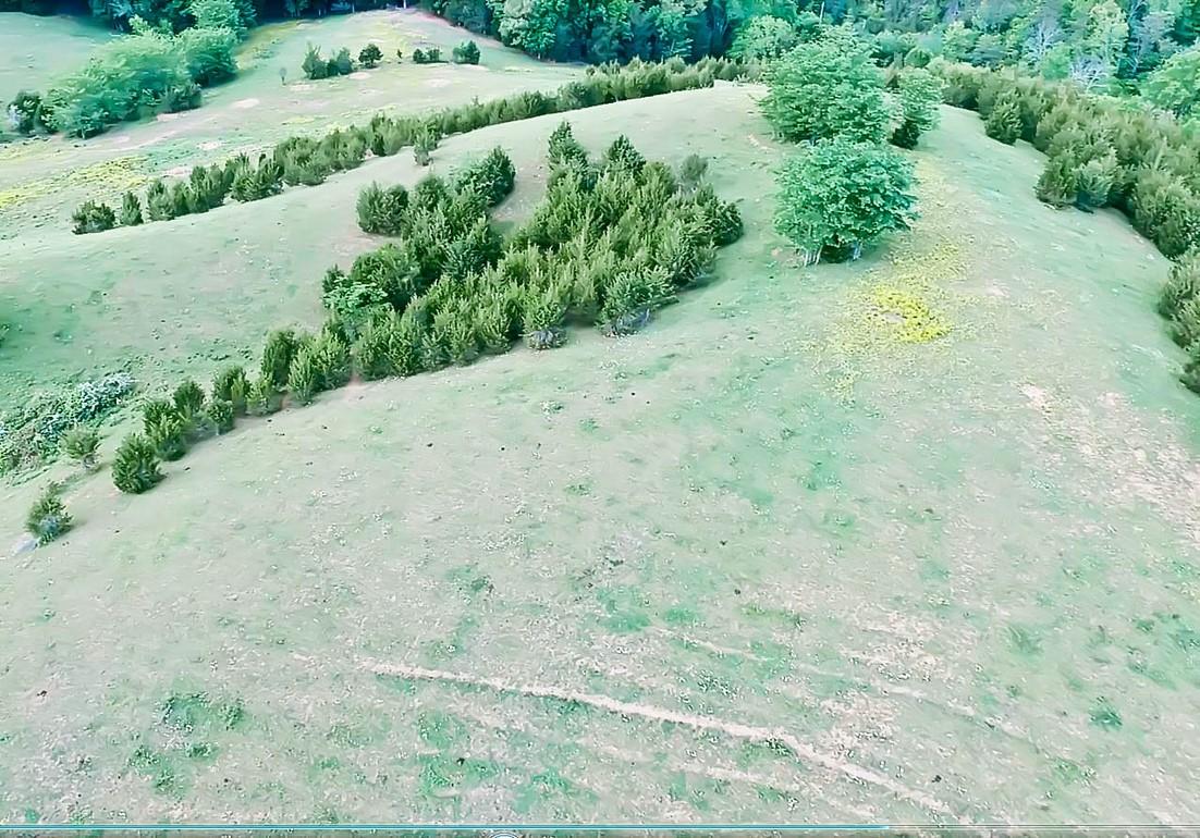 38-acres Lonesome Pine Road Bybee, TN 37713 - Photo 19 of 22 Massey 15