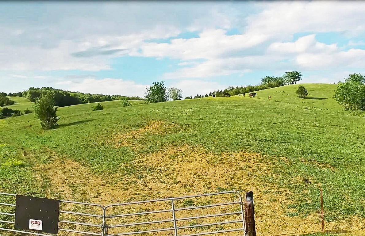 38-acres Lonesome Pine Road Bybee, TN 37713 - Photo 21 of 22 massey 17