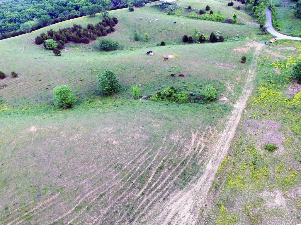 38-acres Lonesome Pine Road Bybee, TN 37713 - Photo 22 of 22 Massey10