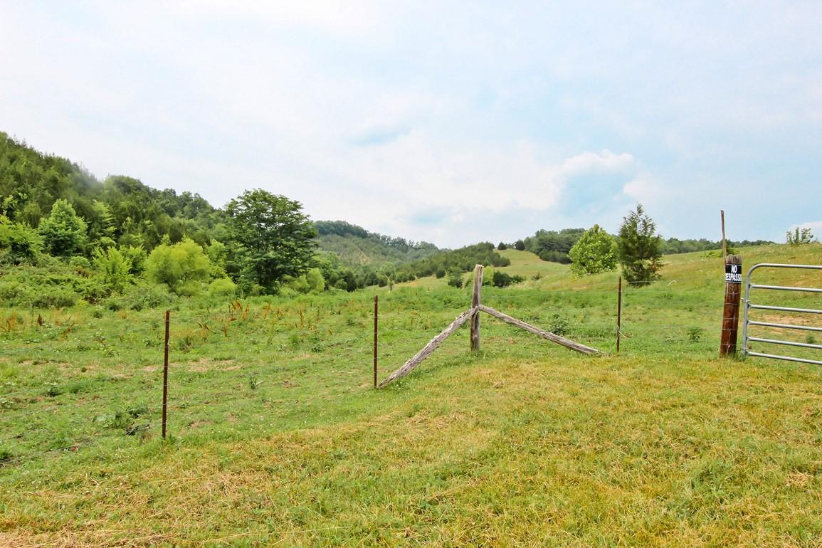 38-acres Lonesome Pine Road Bybee, TN 37713 - Photo 4 of 22 IMG_4752