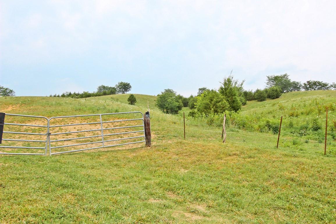 38-acres Lonesome Pine Road Bybee, TN 37713 - Photo 5 of 22 IMG_4753