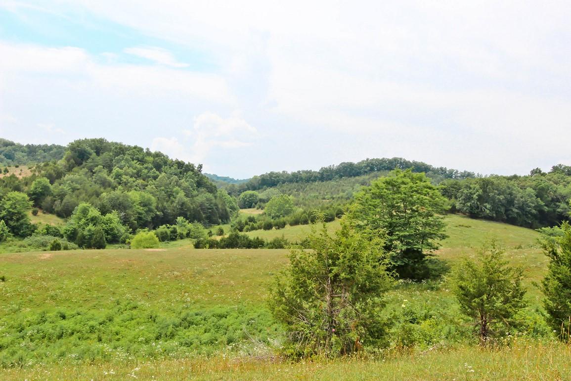 38-acres Lonesome Pine Road Bybee, TN 37713 - Photo 7 of 22 IMG_4755