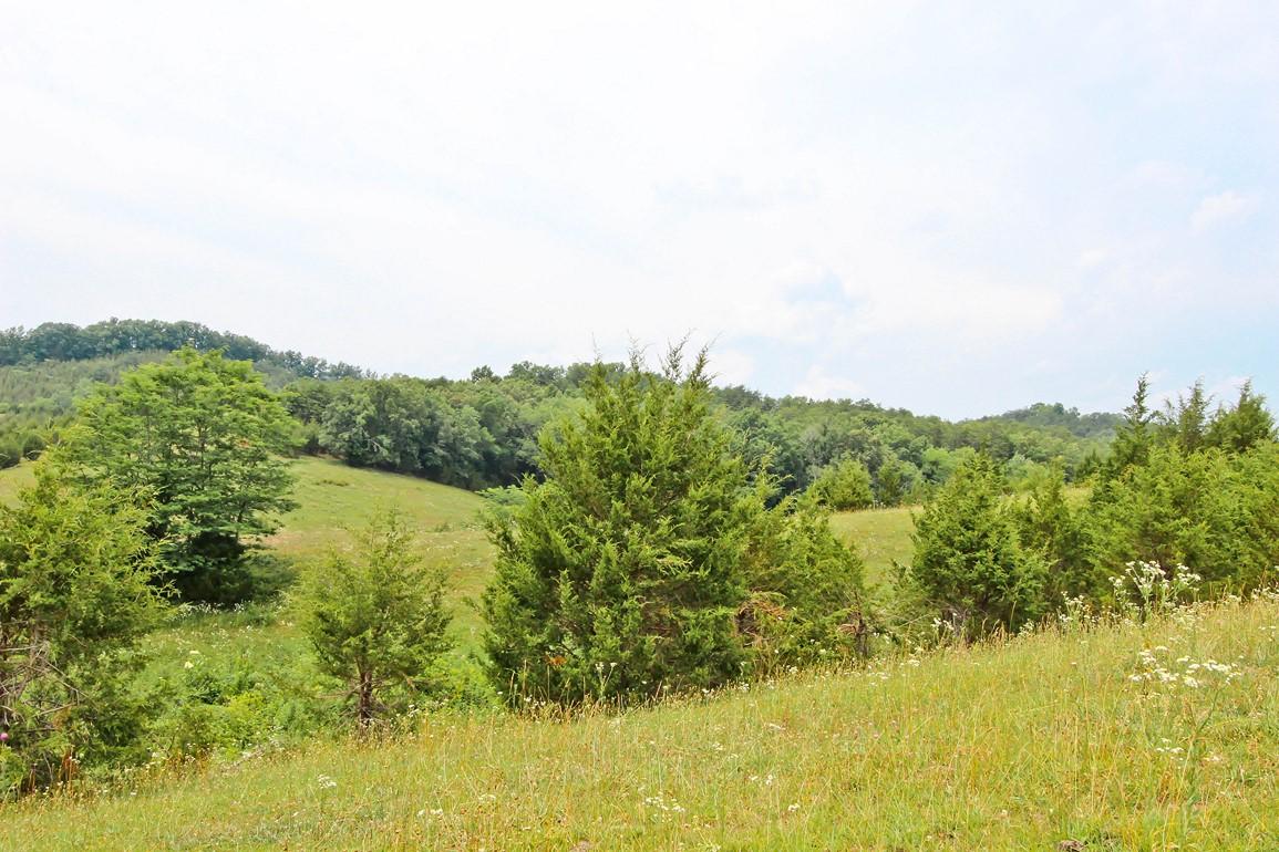 38-acres Lonesome Pine Road Bybee, TN 37713 - Photo 8 of 22 IMG_4756