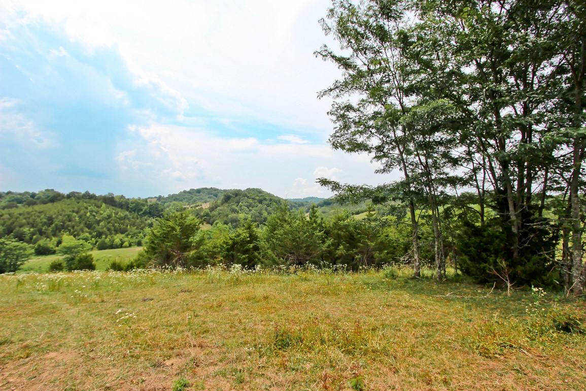38-acres Lonesome Pine Road Bybee, TN 37713 - Photo 10 of 22 IMG_4758