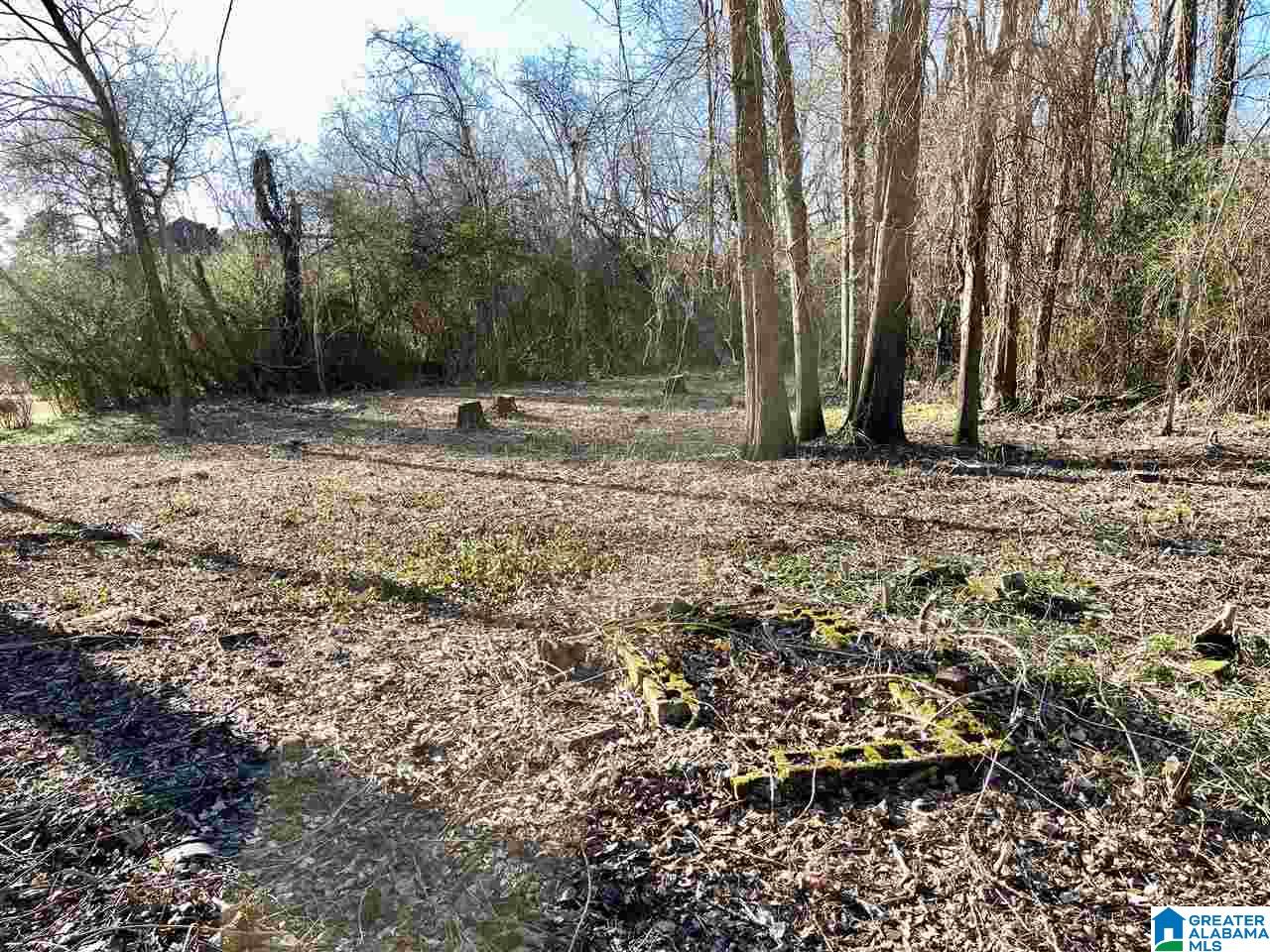 2061 High School Road Bessemer, AL 35023 - Photo 15 of 18