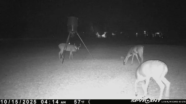 a view of a lake with a house in the background