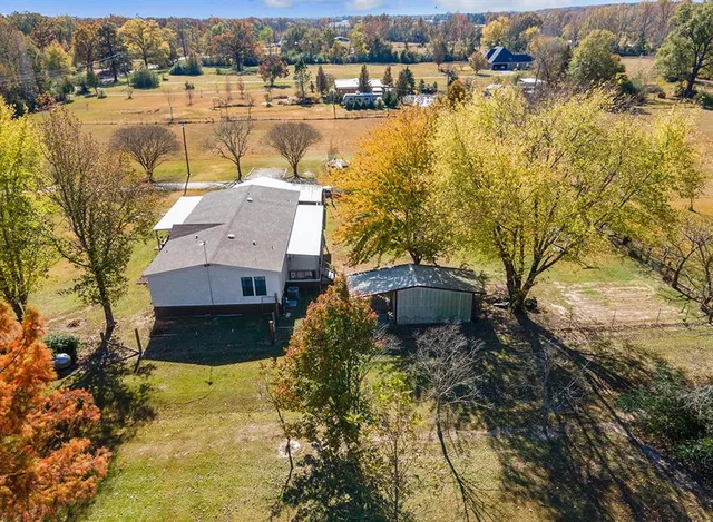 a view of a flower in a yard