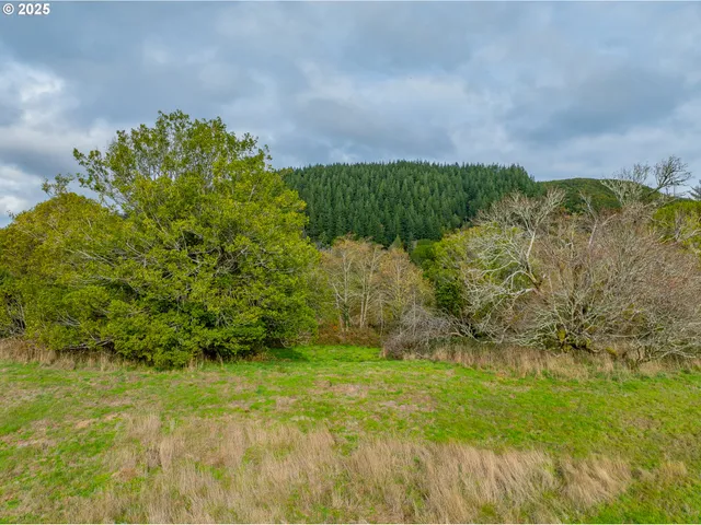 $485,000 | Undisclosed Address, Port Orford, OR 97465
