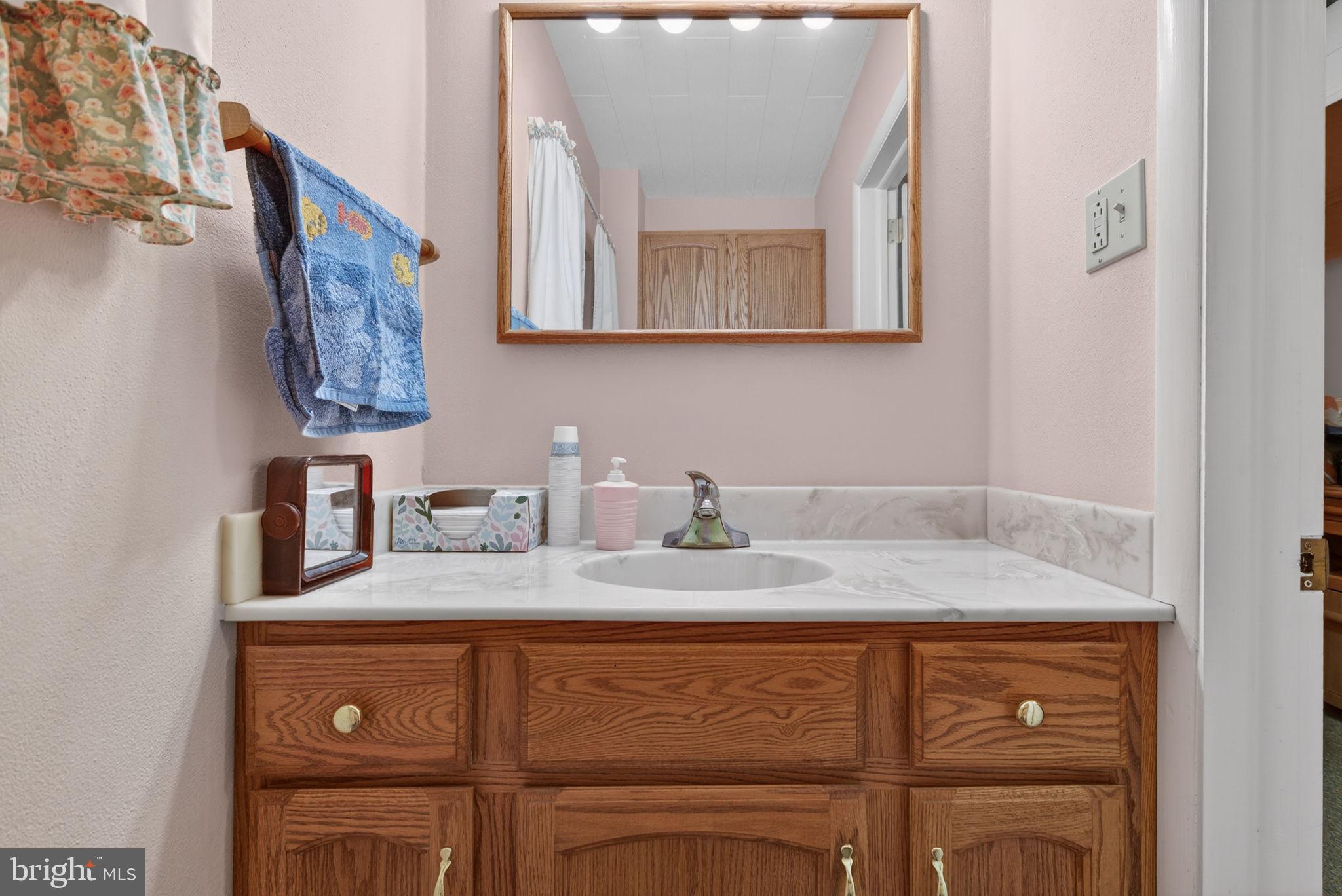 960 Nissley Road Lancaster, PA 17601 - Photo 15 of 24 a bathroom with a granite countertop sink and a mirror