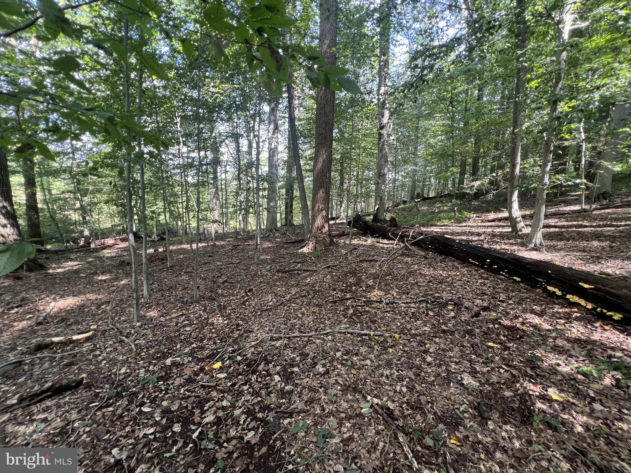 217 Buck Toe Road Avondale, PA 19311 - Photo 33 of 47 Gallery Image 33