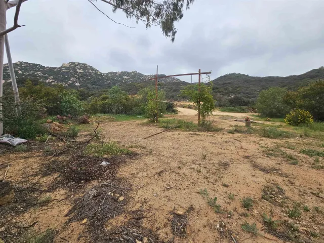 a view of a garden with a tree in the background
