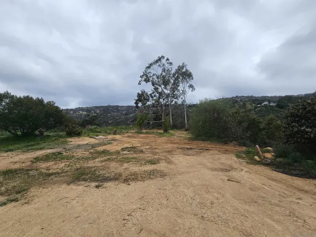 a view of a yard with a tree