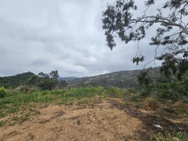 a view of a dry yard with lots of green space