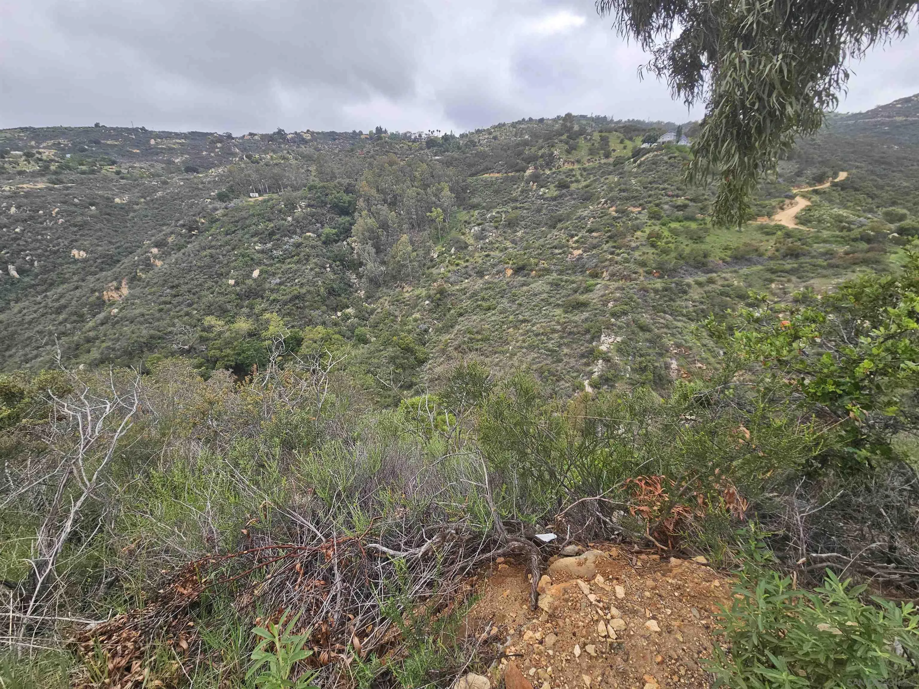 6465 Rainbow Heights Road, Unit 2 Fallbrook, CA 92028 - Photo 25 of 36 a view of a dry yard with lots of green space