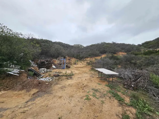 a view of a mountain in the distance in a field