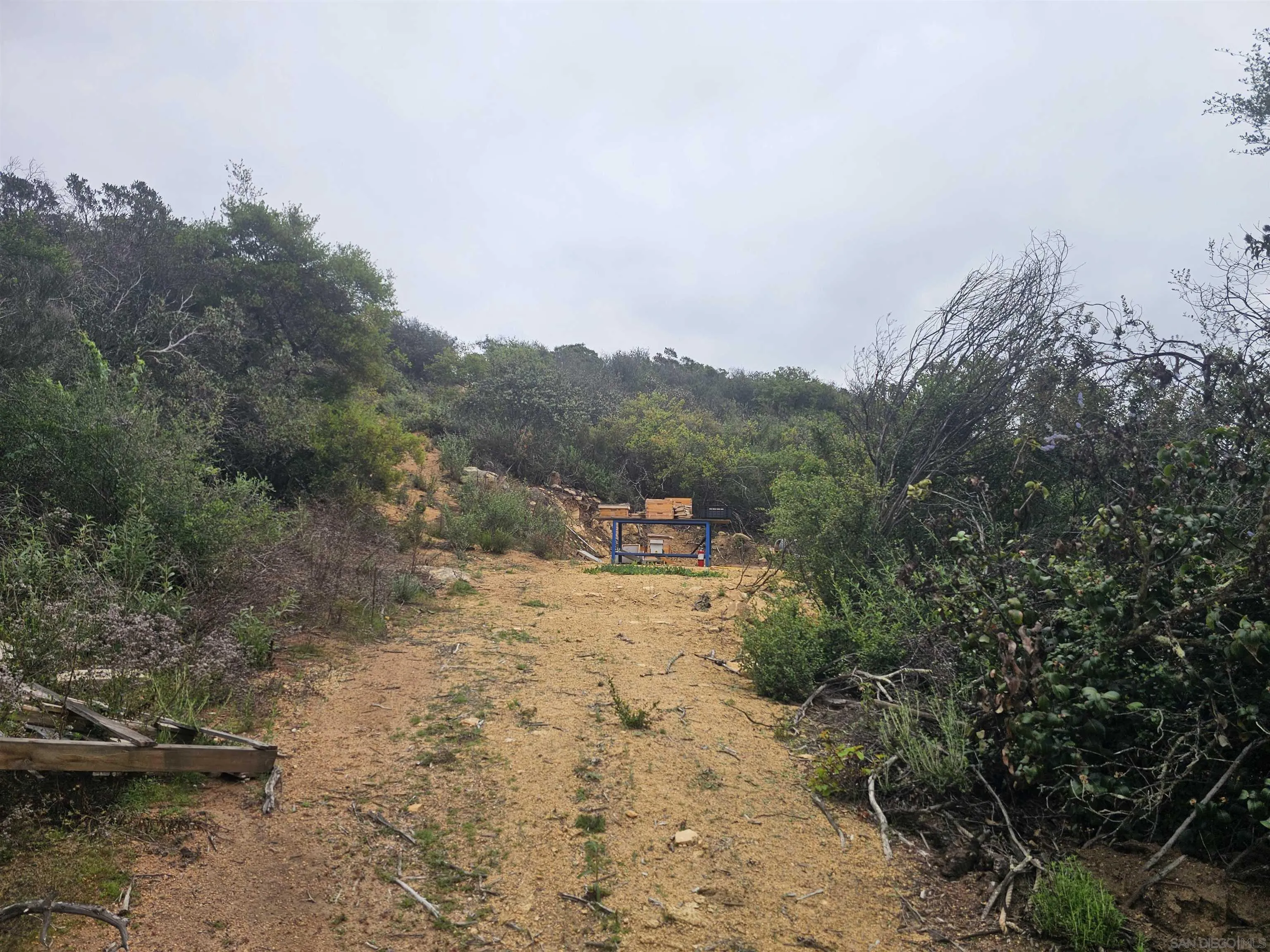 6465 Rainbow Heights Road, Unit 2 Fallbrook, CA 92028 - Photo 8 of 36 a view of a dry yard with trees in the background
