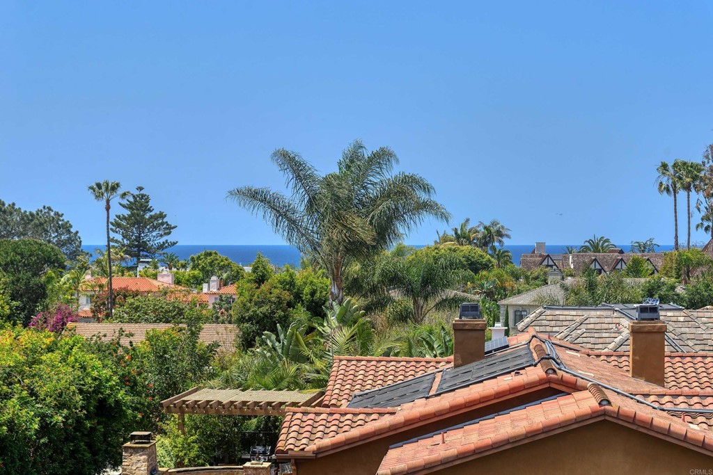 441 Oceanview Terrace Encinitas, CA 92024 - Photo 16 of 34 a view of a backyard with plants and a patio