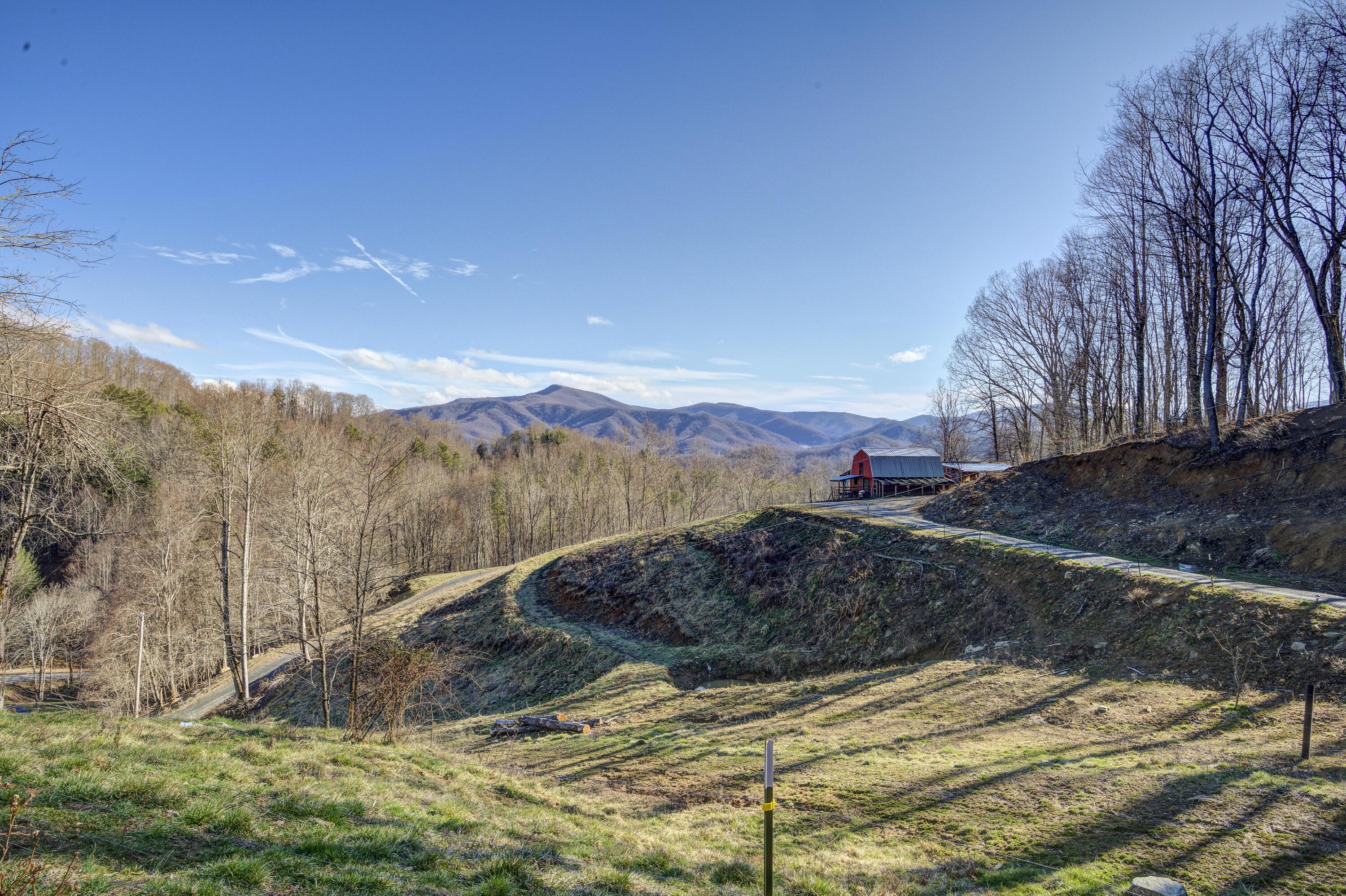 331 Buck Mountain Road Roan Mountain, TN 37687 - Photo 31 of 57 Buck-Land--29
