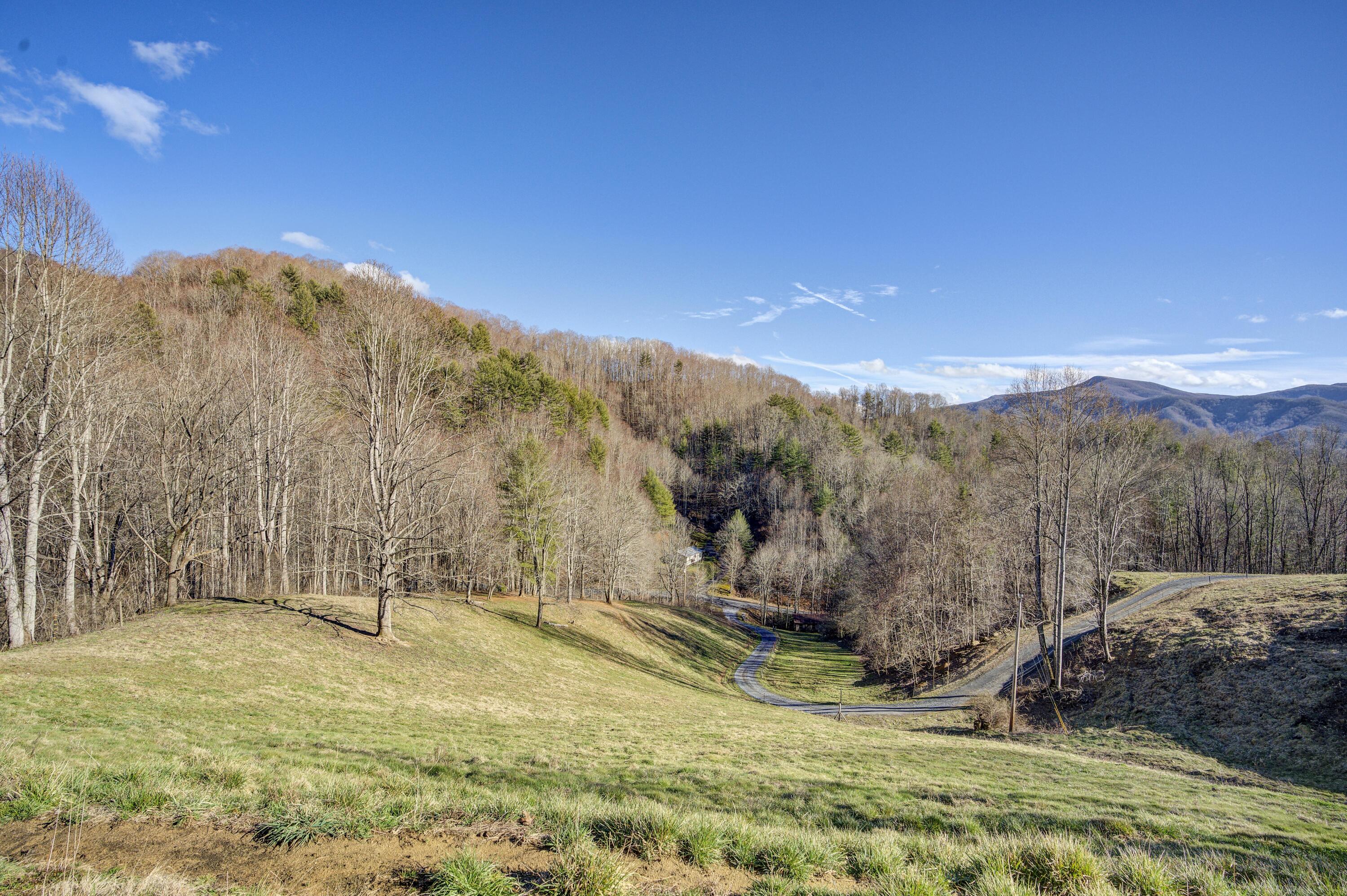 331 Buck Mountain Road Roan Mountain, TN 37687 - Photo 34 of 57 Buck-Land--32