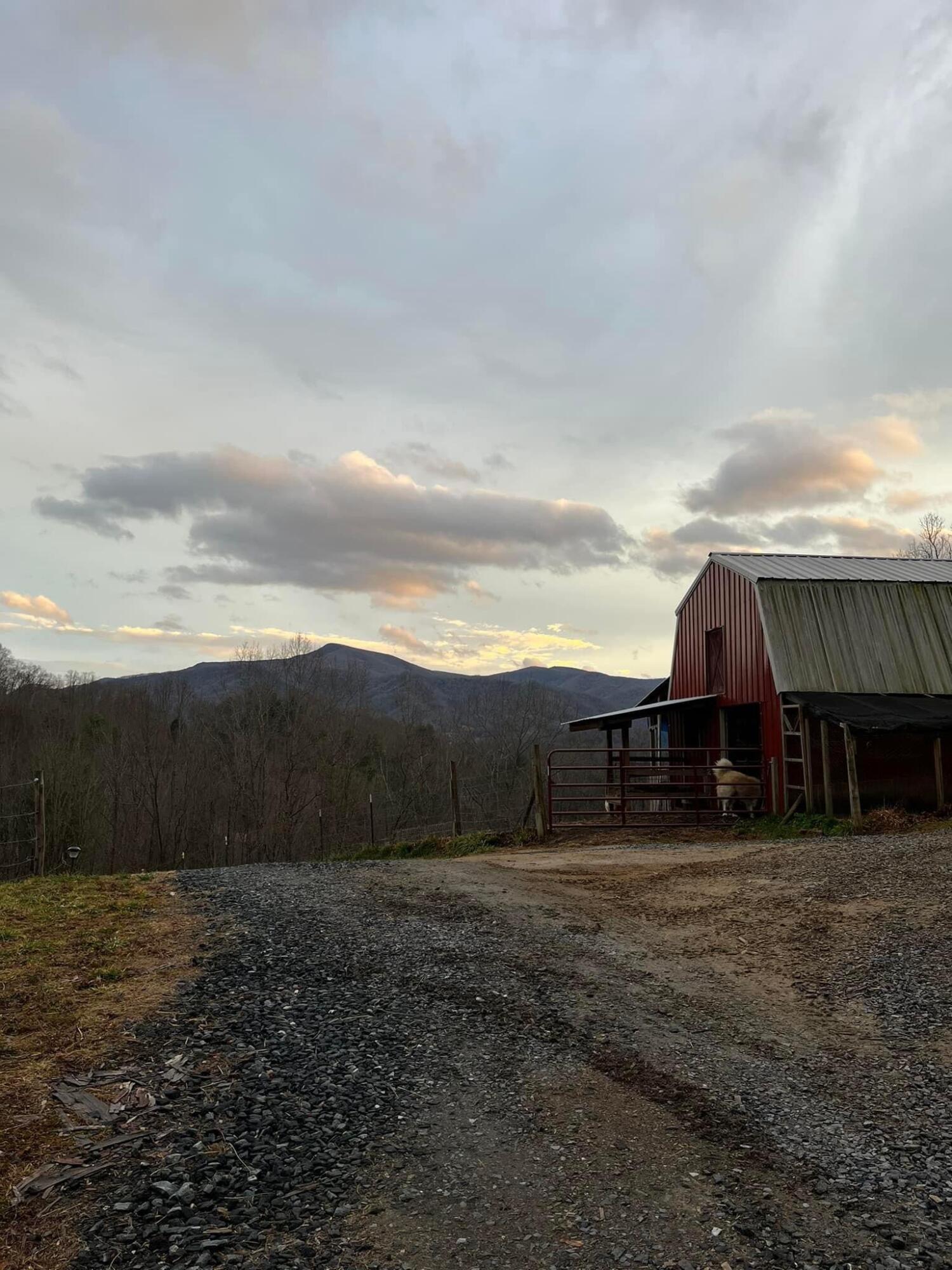 331 Buck Mountain Road Roan Mountain, TN 37687 - Photo 36 of 57 331 Buck Mountain Road Pic 4